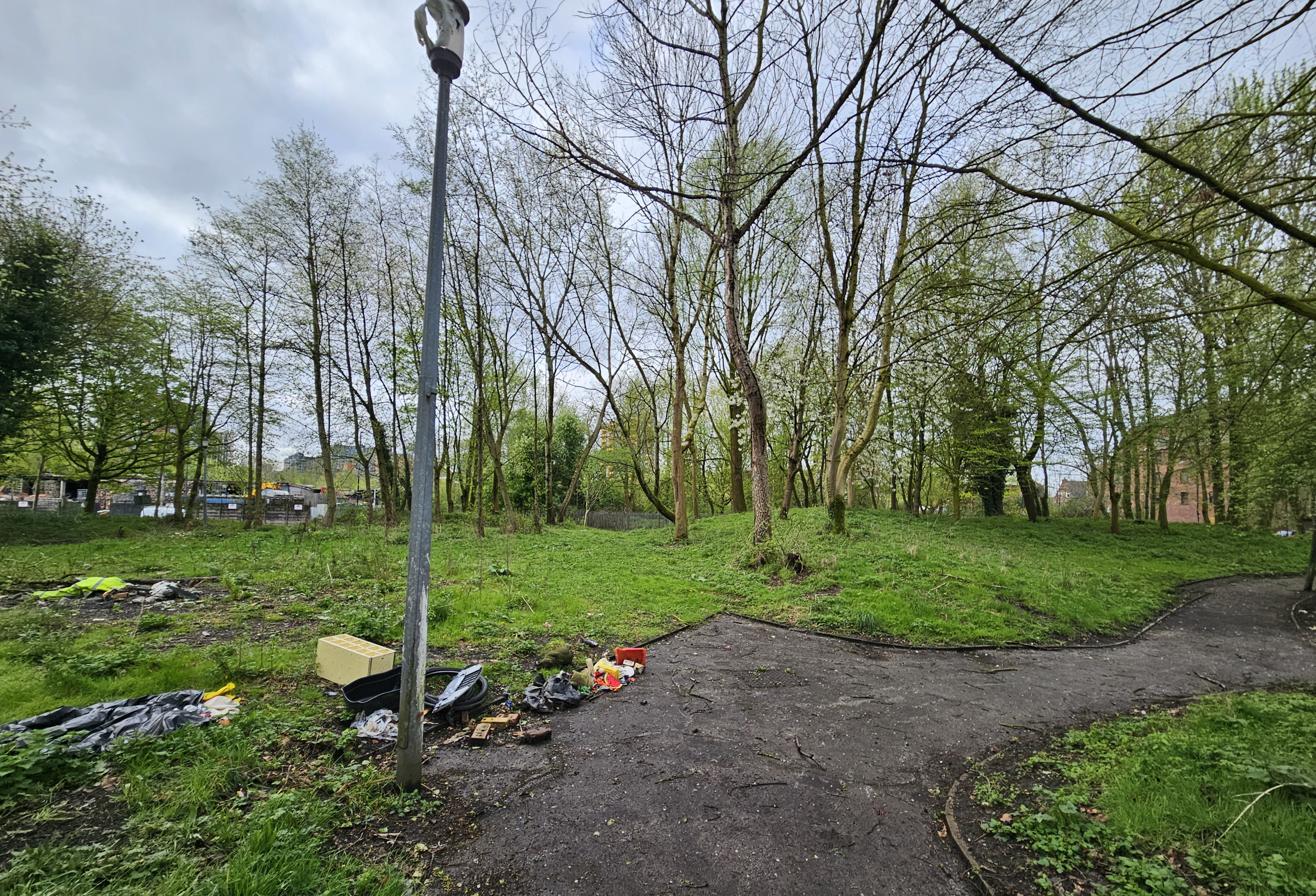 Run-Down Green Space