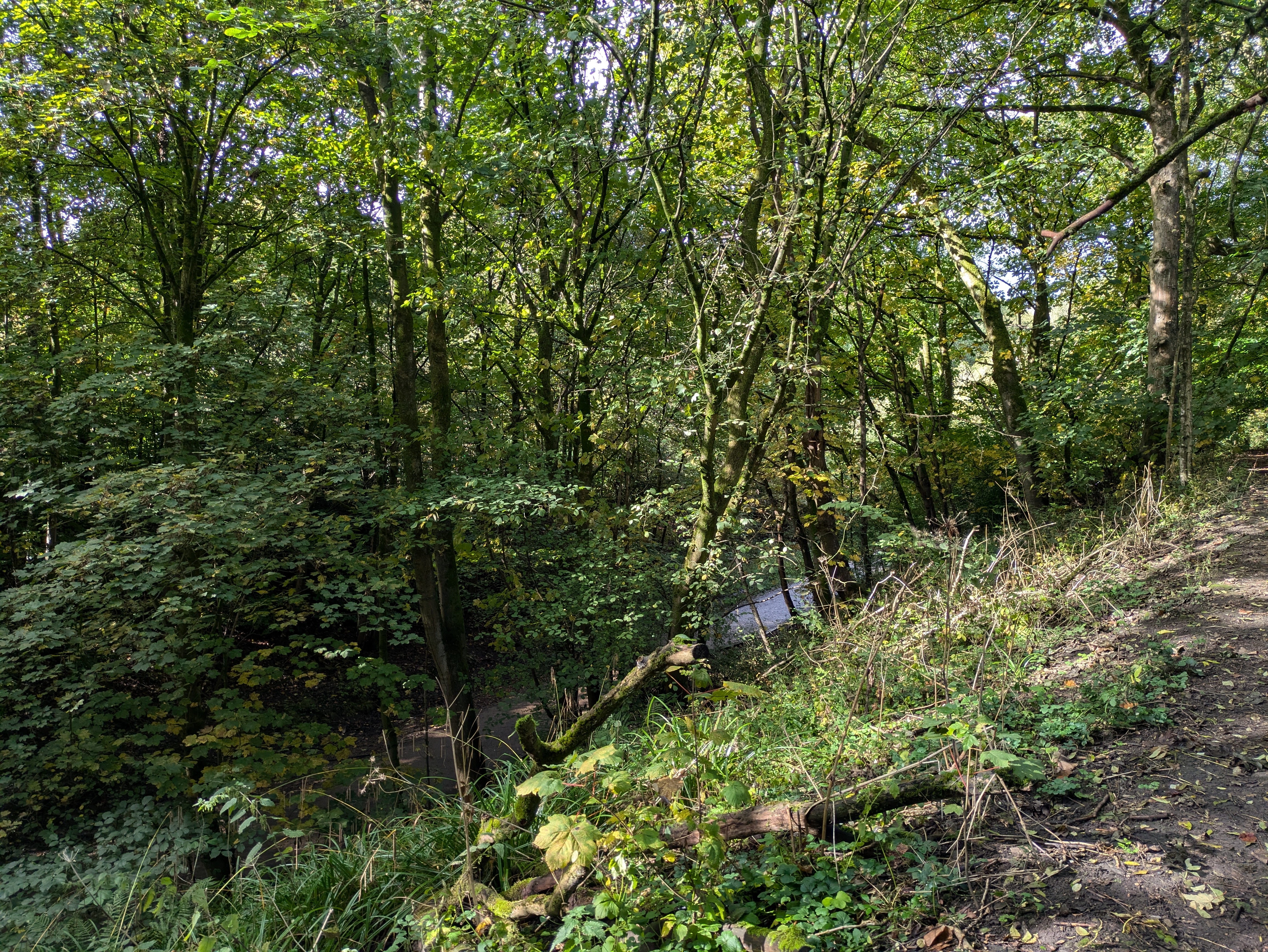 Worsley Woods and Raymond’s Café